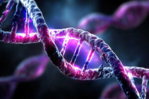 A digitally rendered close-up of recombinant or synthetic nucleic acid (r/SNA) strands